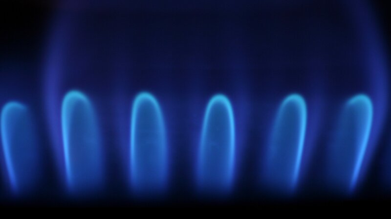 Blue Gas Flames — Calm, Photograph