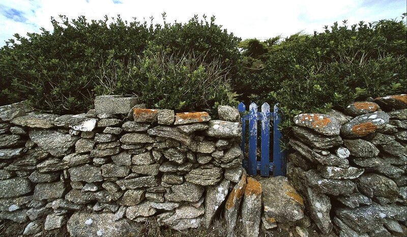 Blue gate in stone wall