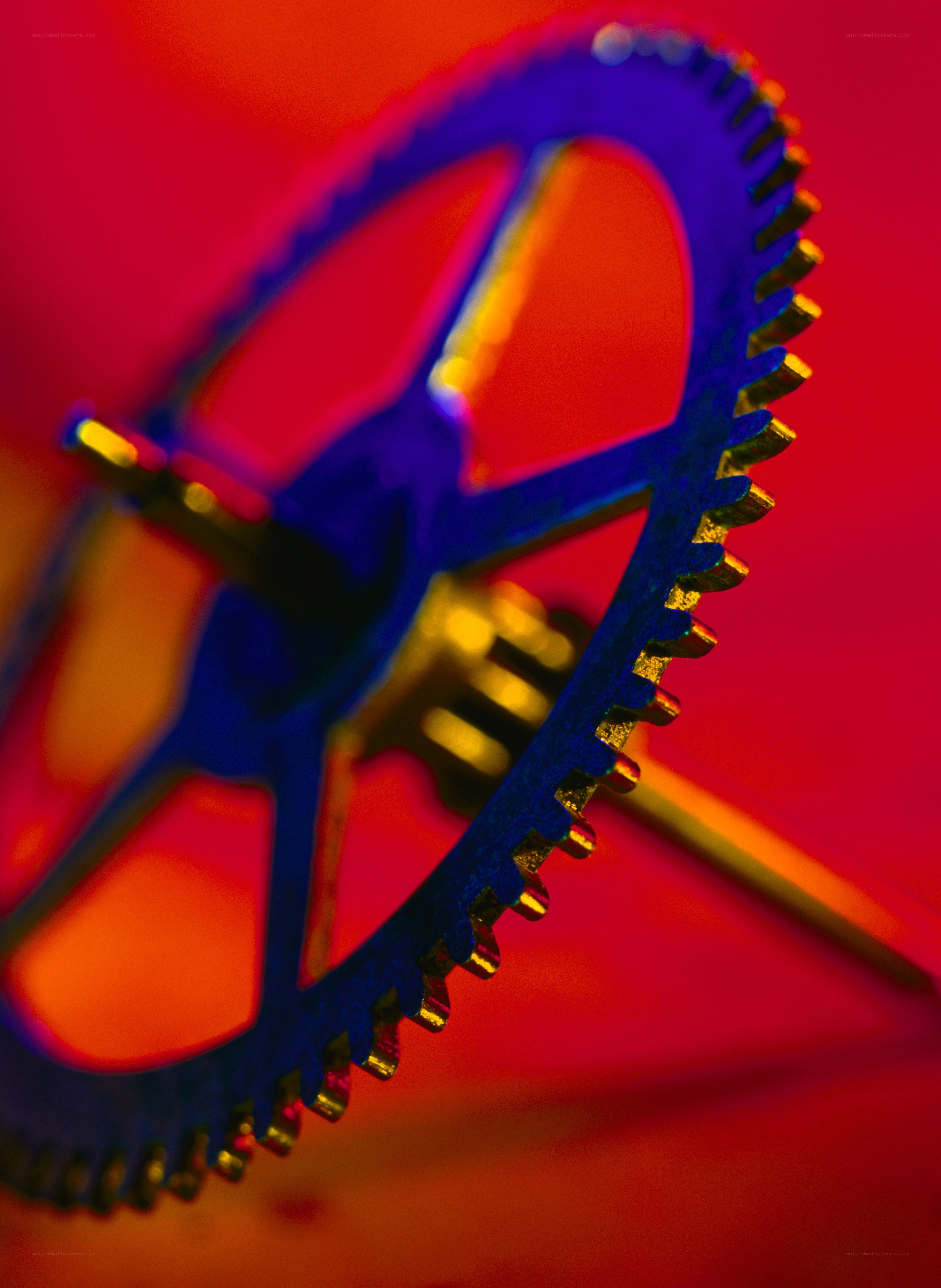 blue gear on red background