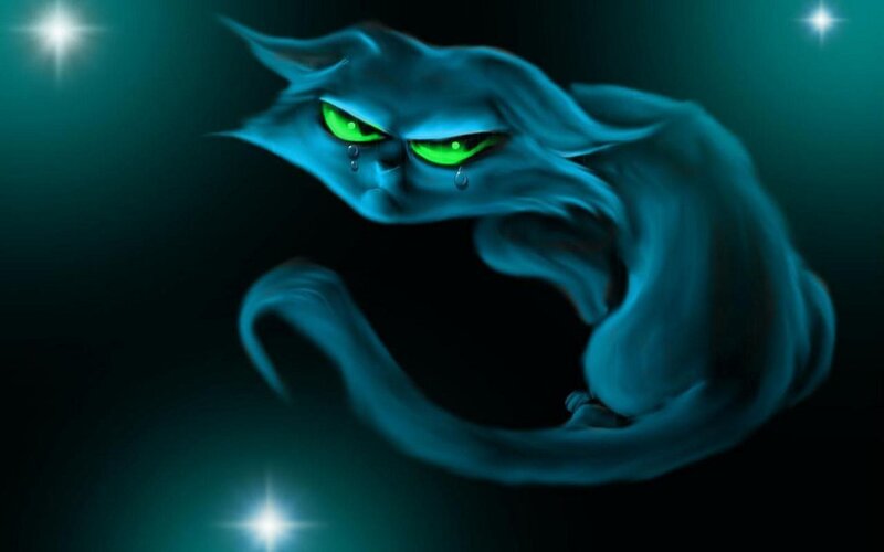 Blue Ghost Cat