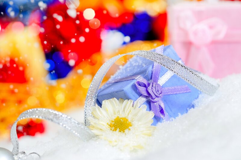 Blue Gift Box with Daisy