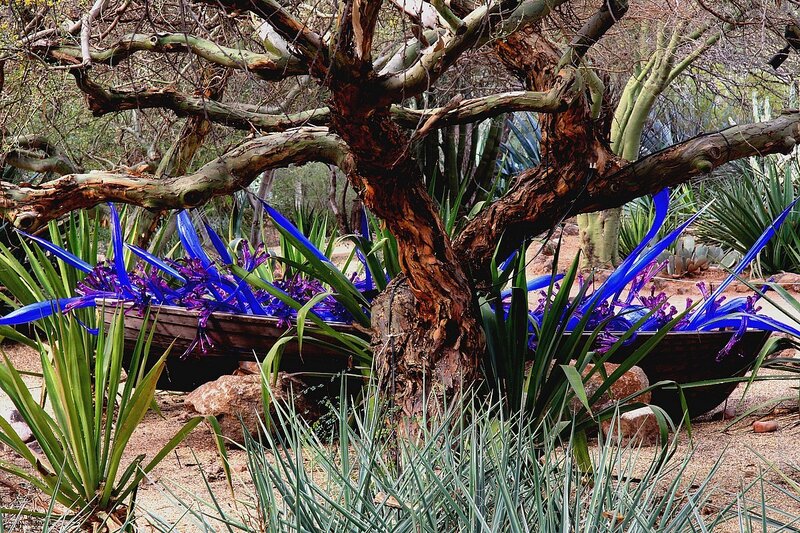 Blue glass art in desert garden