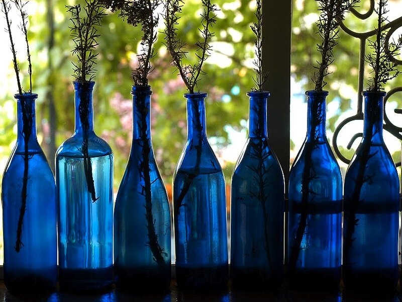 Blue Glass Bottles with Branches