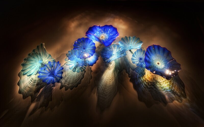 Blue Glass Flower Sculpture — Dramatic, Photograph