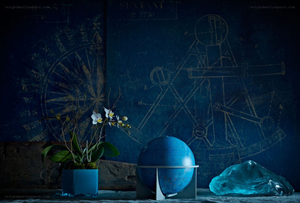 blue globe and orchid on table