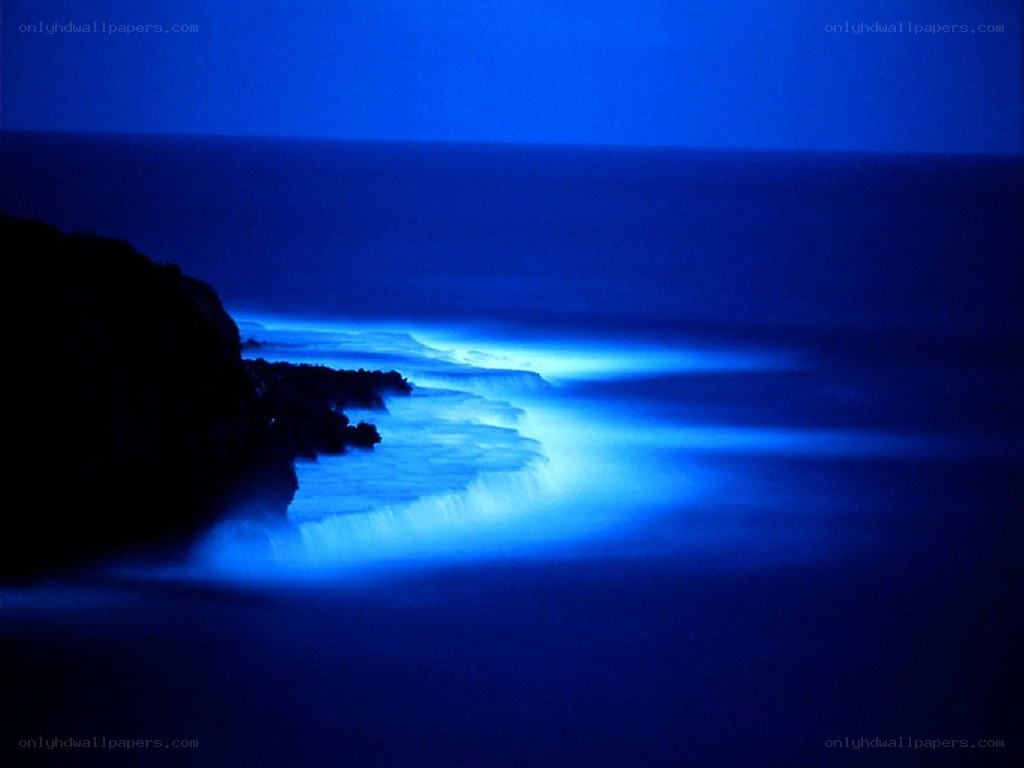 Blue Glow at the Shore