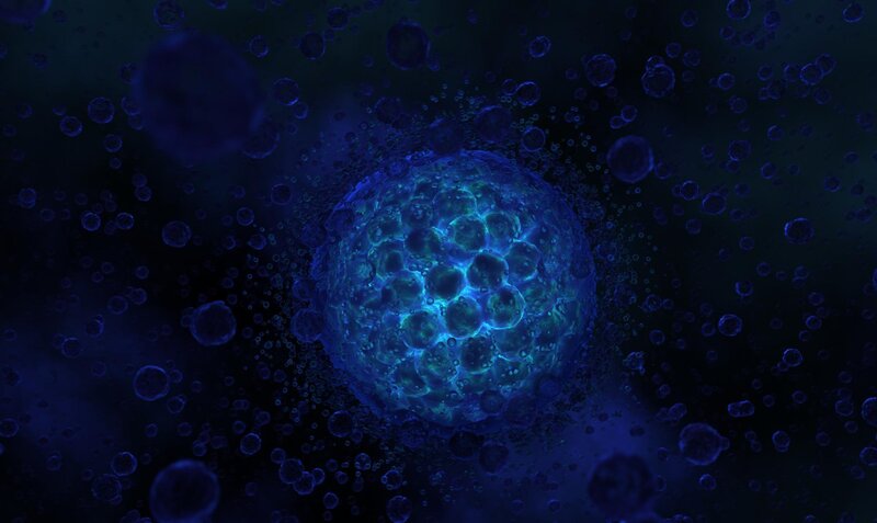 blue glowing cell structure