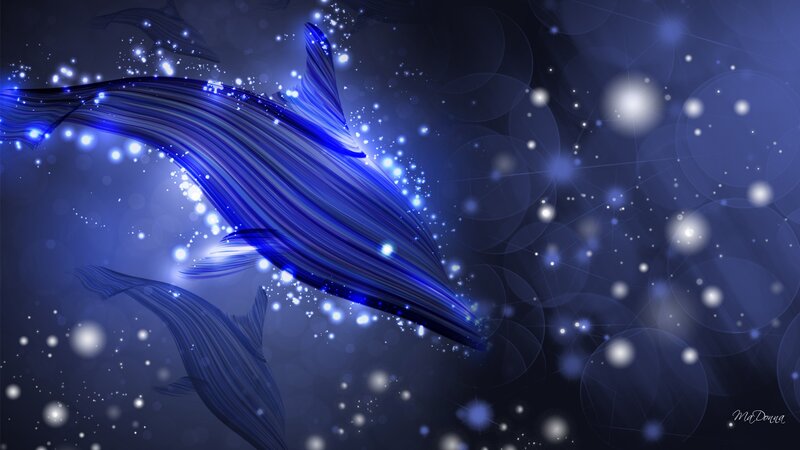 Blue Glowing Dolphins