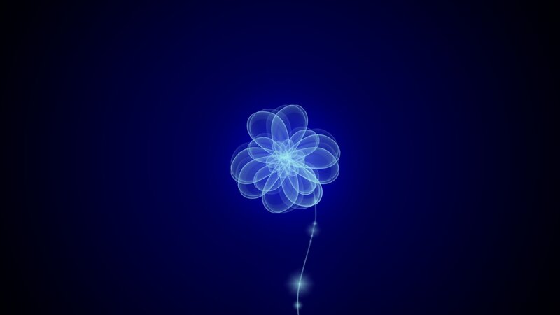 blue glowing flower animation