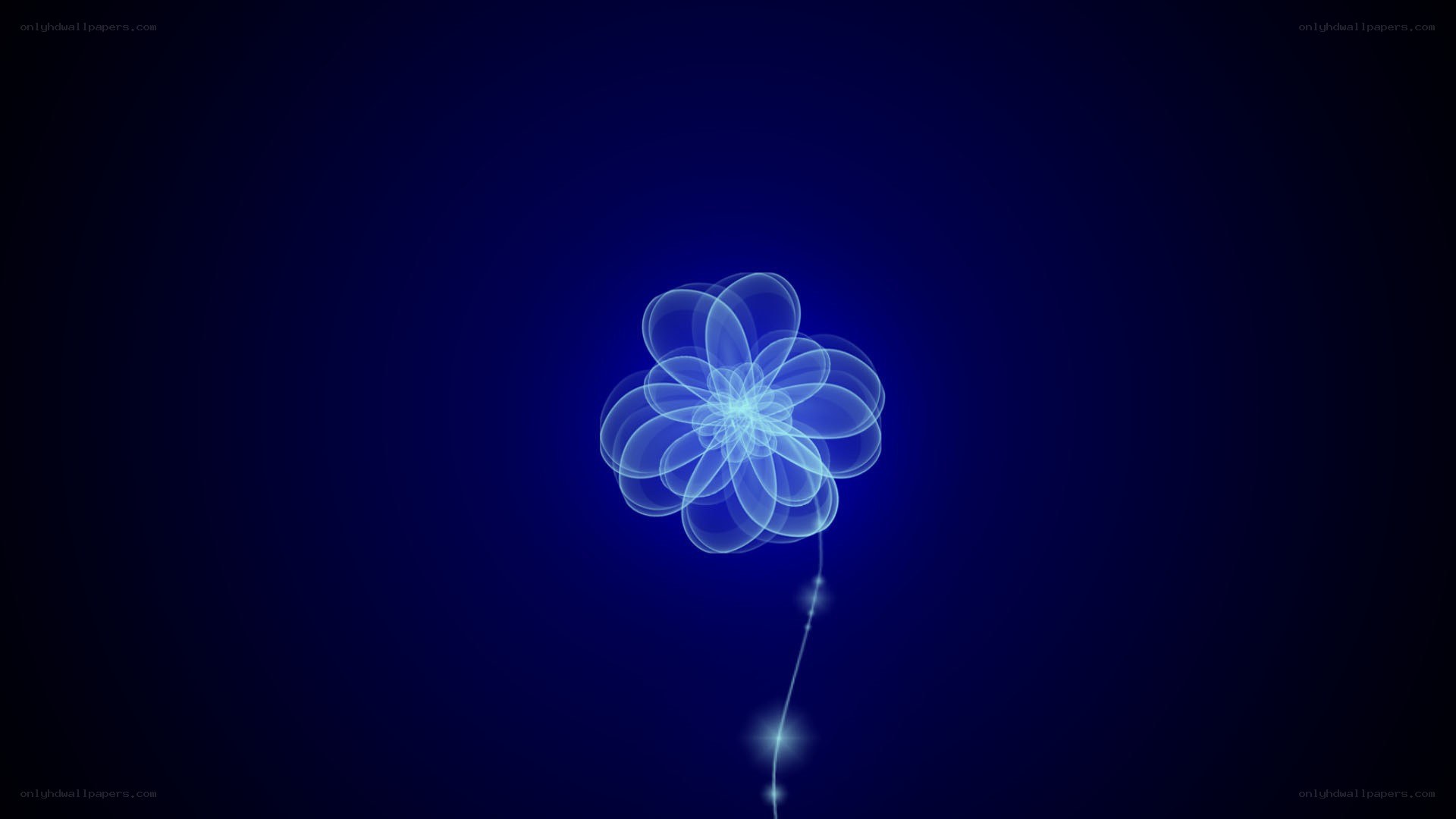 blue glowing flower animation