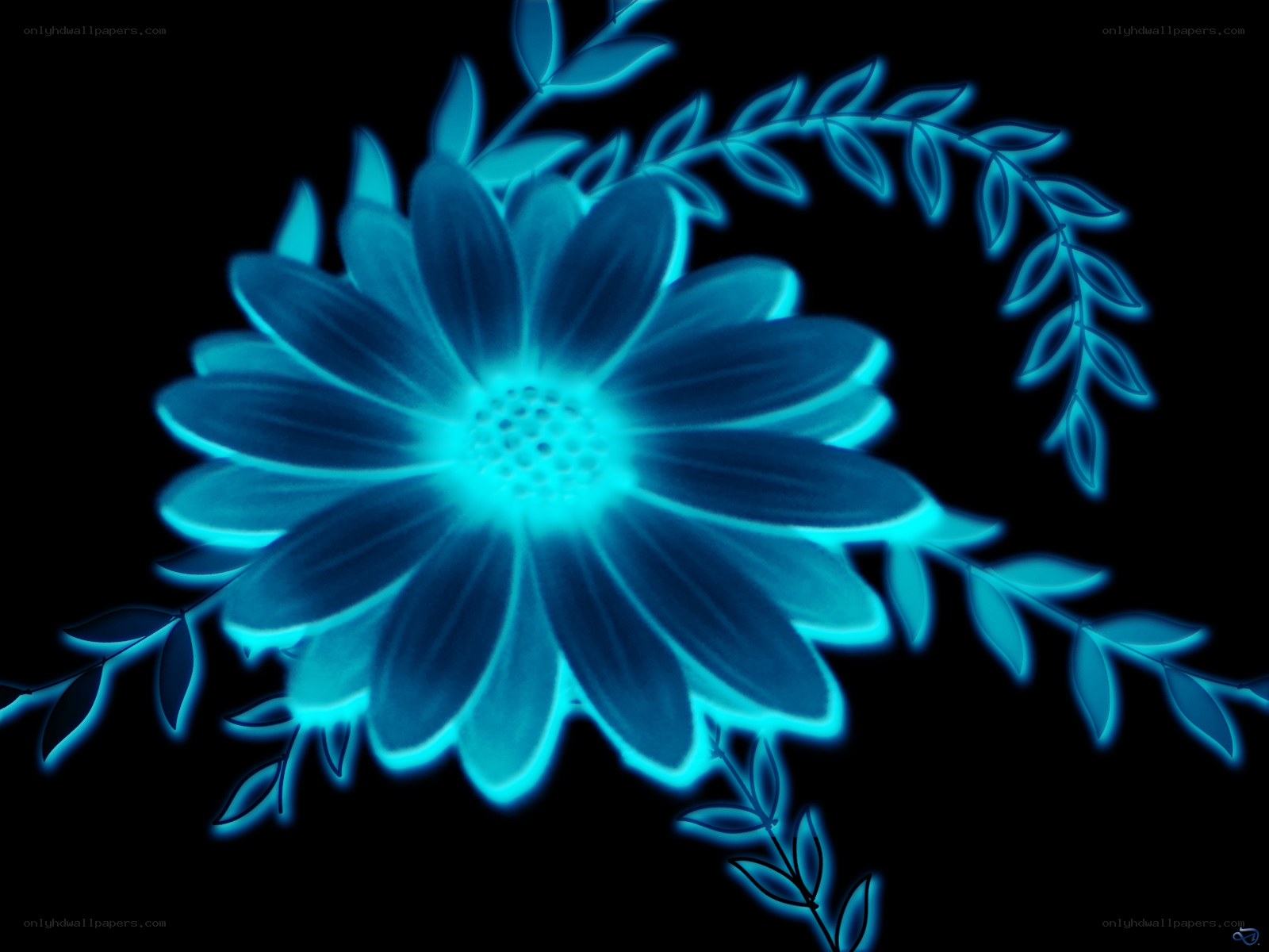 blue glowing flower design