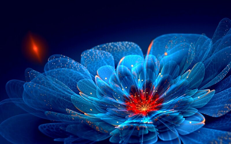 Blue Glowing Flower — Dramatic, Night