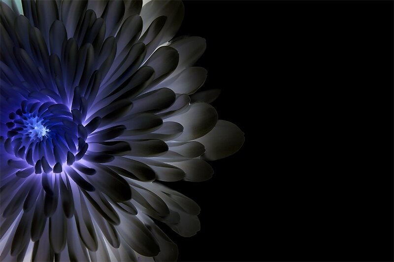 Blue Glowing Flower — Dramatic