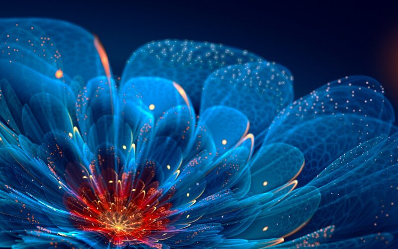Blue Glowing Flower — Ethereal, Night