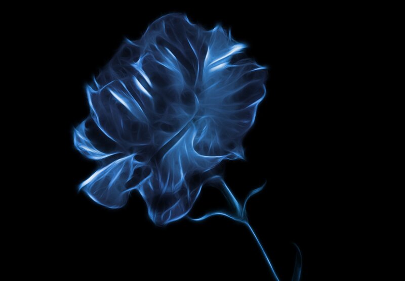 Blue Glowing Flower — Ethereal