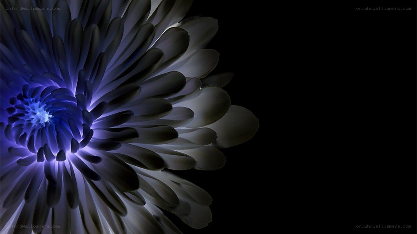 blue glowing flower