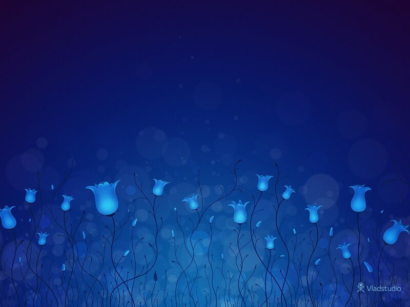 Blue Glowing Flowers — Serene, Night, Digital Art, Stems, Bokeh