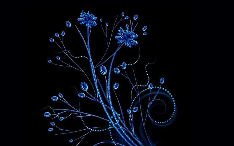 Blue Glowing Flowers — Serene, Night, Digital Art