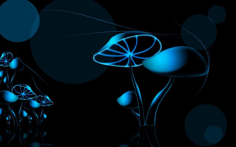 blue glowing mushrooms