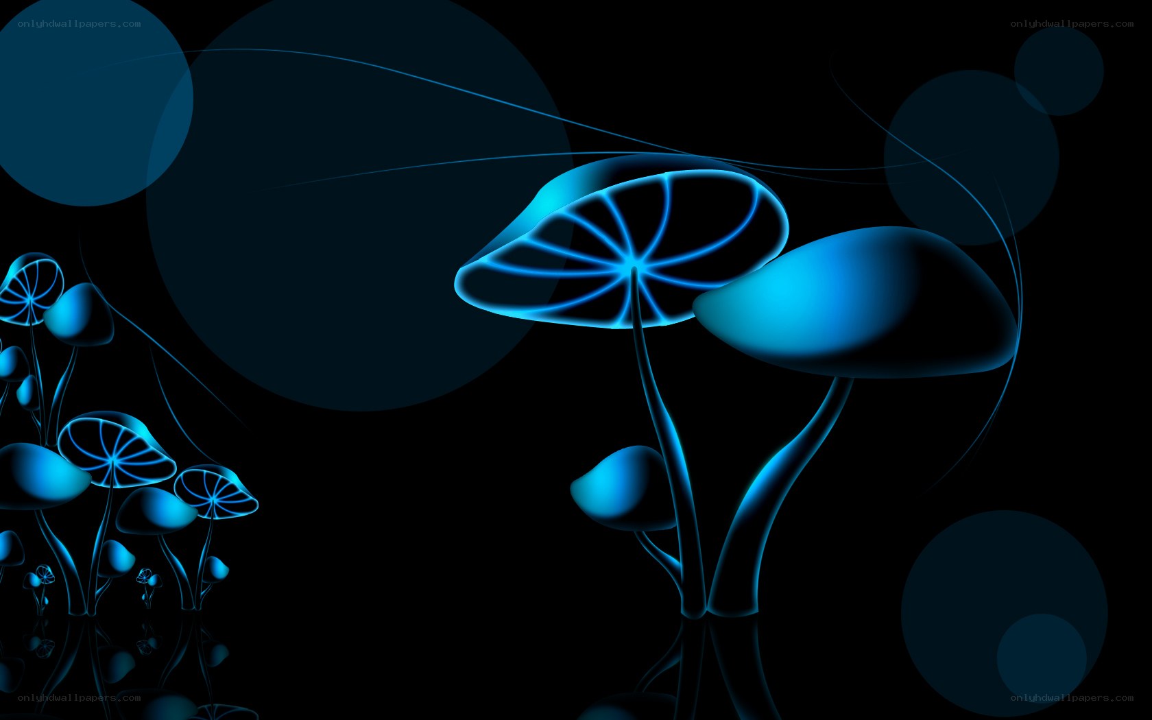 Blue glowing mushrooms