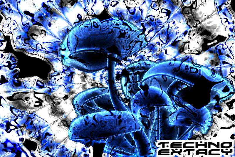 Blue Glowing Mushrooms — Hypnotic