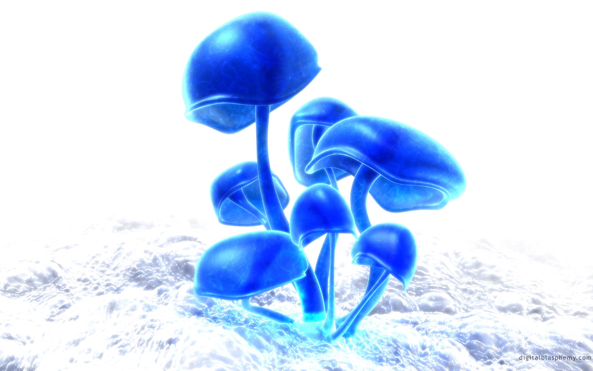 blue glowing mushrooms