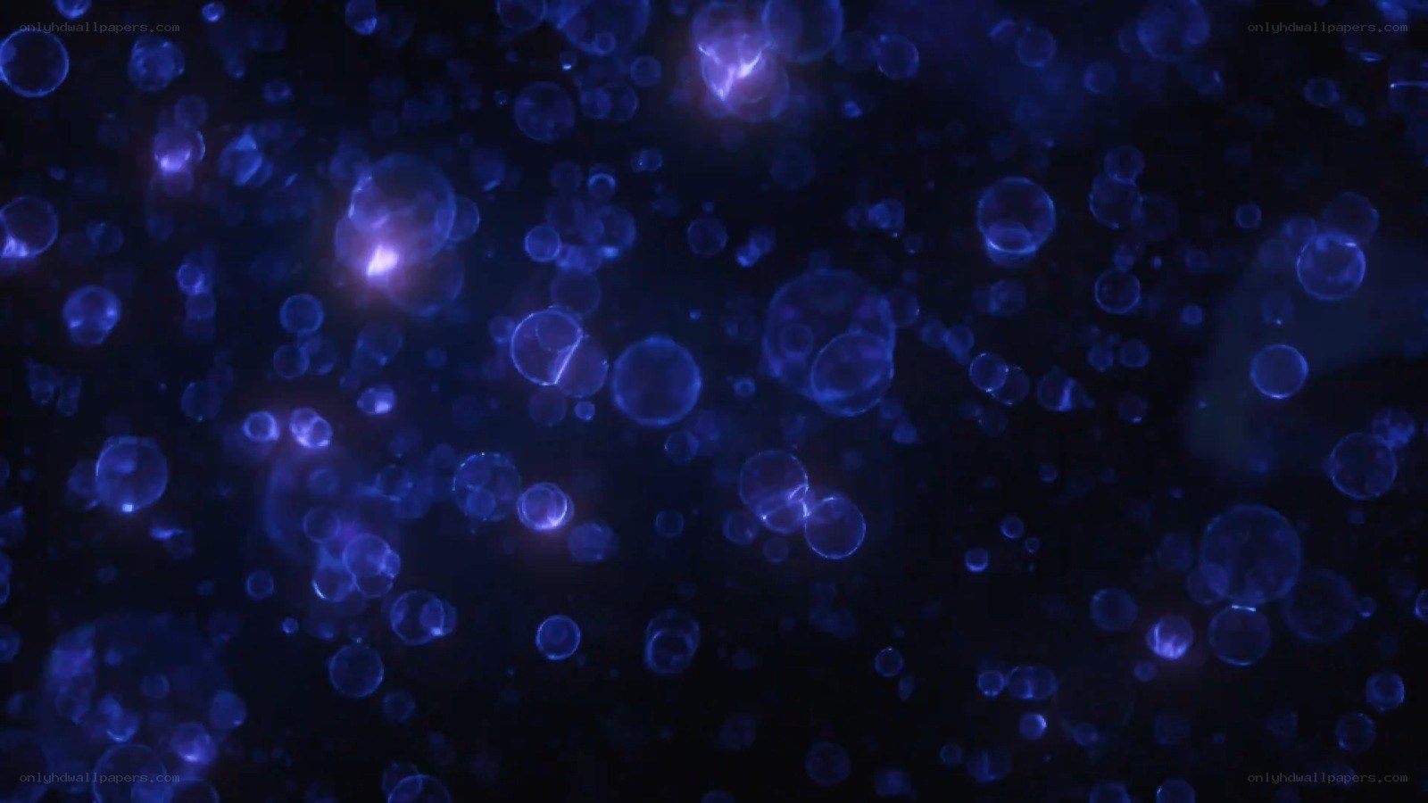blue glowing orbs in dark space