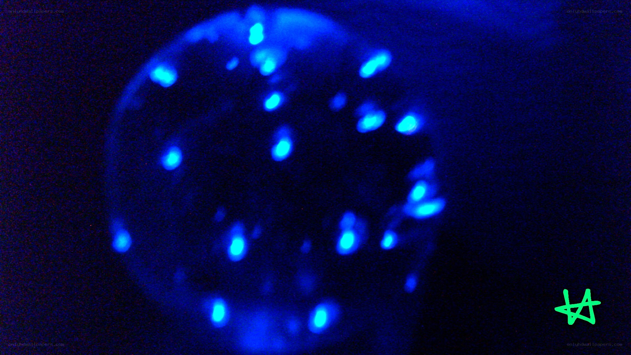 blue glowing particles in dark