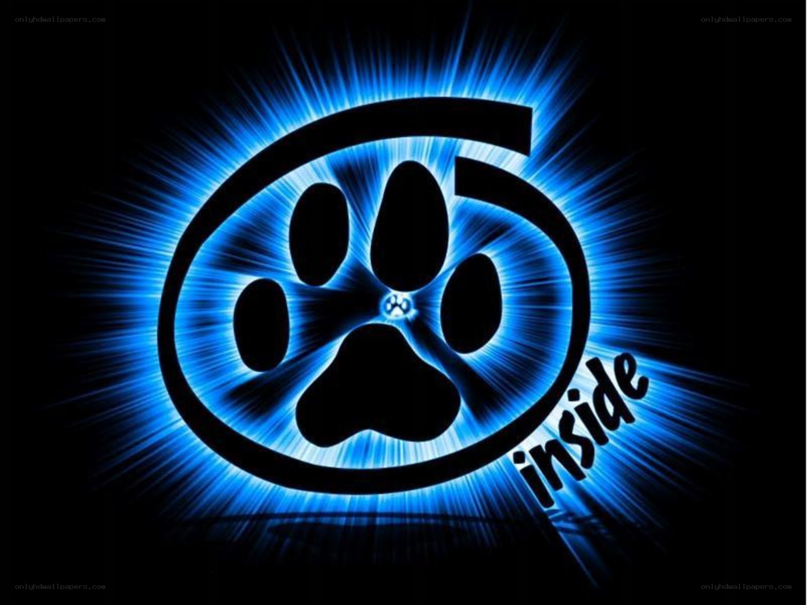 blue glowing paw print logo