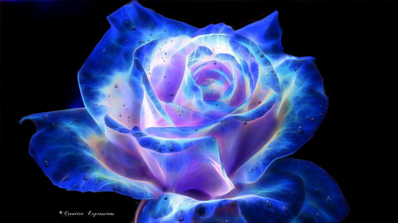 Blue Glowing Rose — Dramatic, Digital Art, Flower
