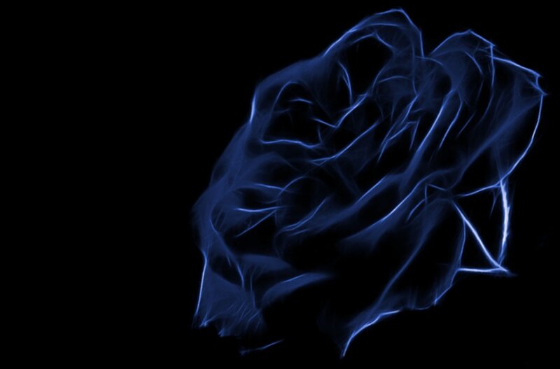 Blue Glowing Rose — Mysterious