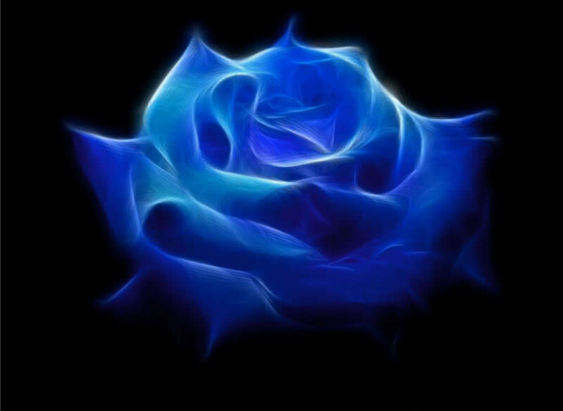 Blue Glowing Rose