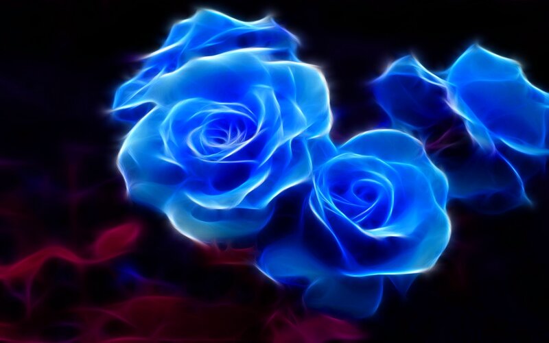 Blue Glowing Roses