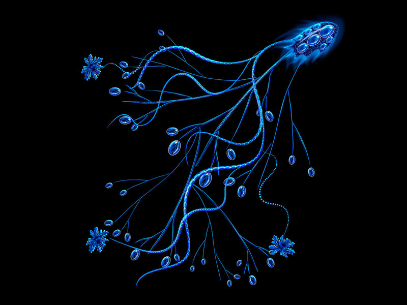 Blue glowing sea creature