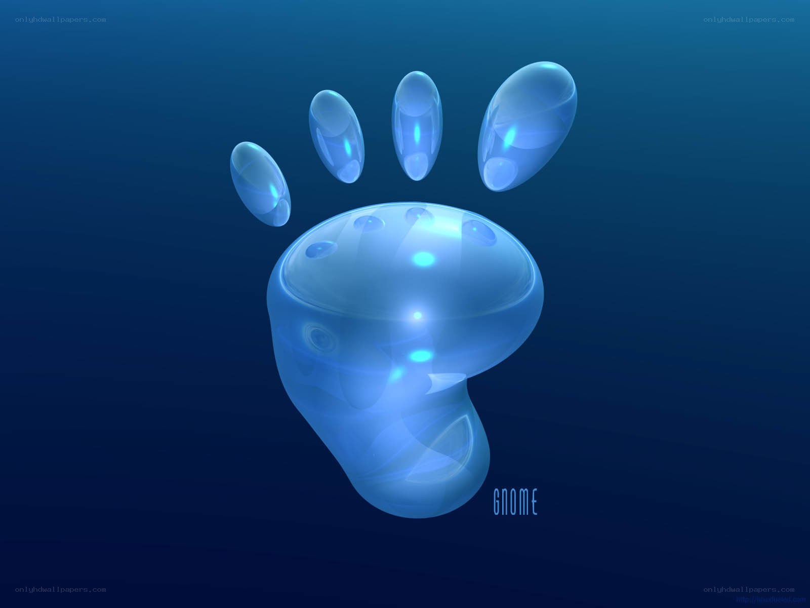 Blue Gnome paw print logo