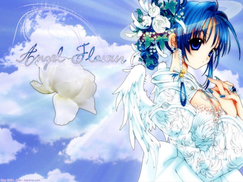 Blue-haired Angel Girl — Blue, Serene, Anime, Wings, Flowers, Clouds