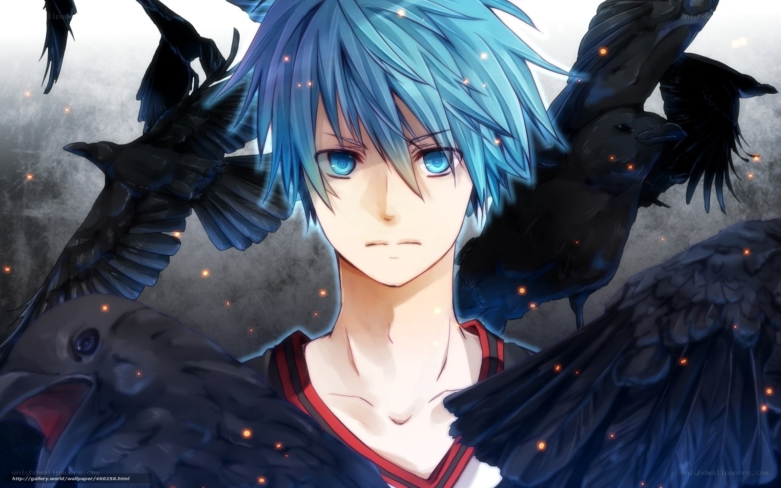 blue-haired anime boy with crows
