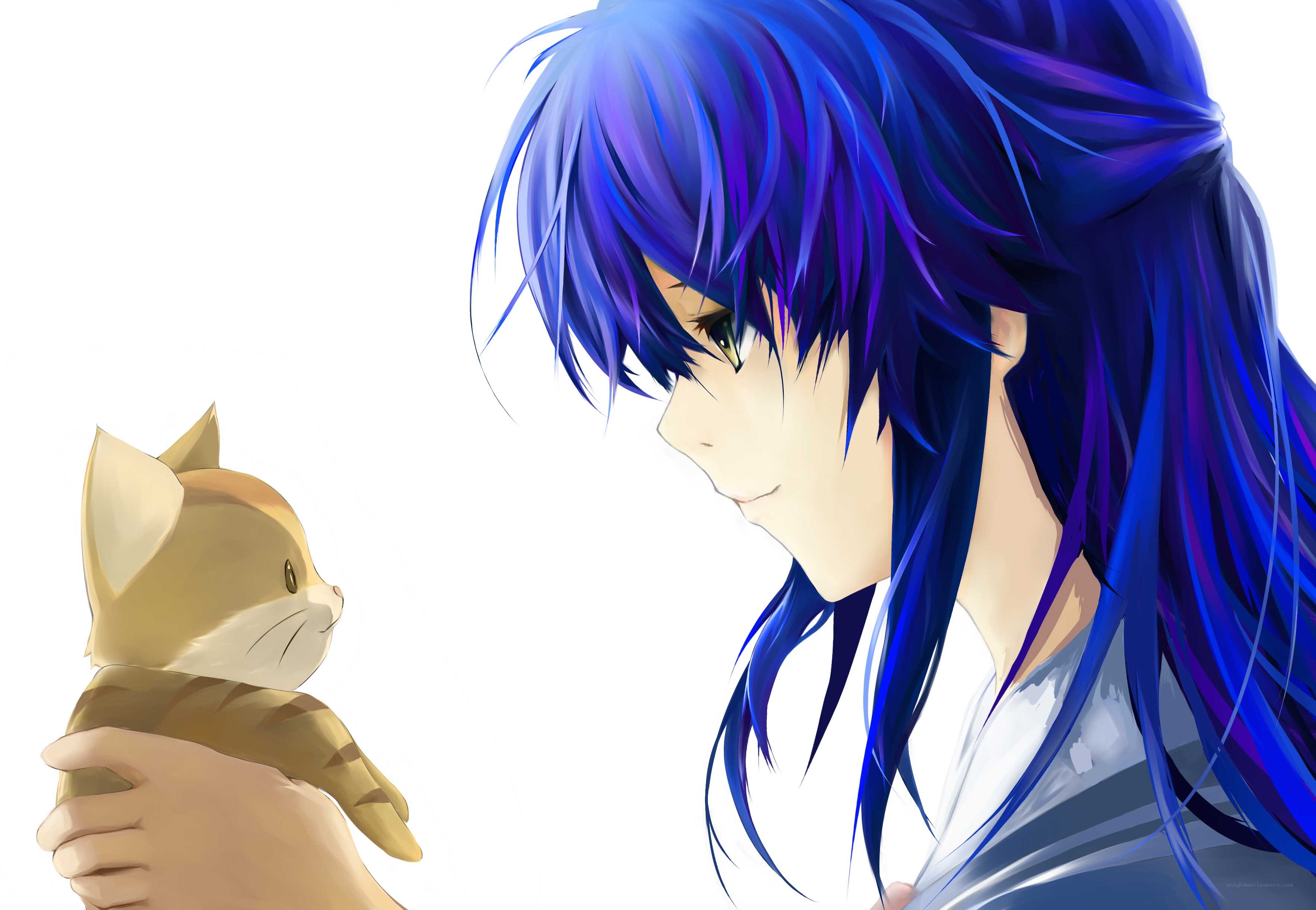 blue-haired anime character holding cat