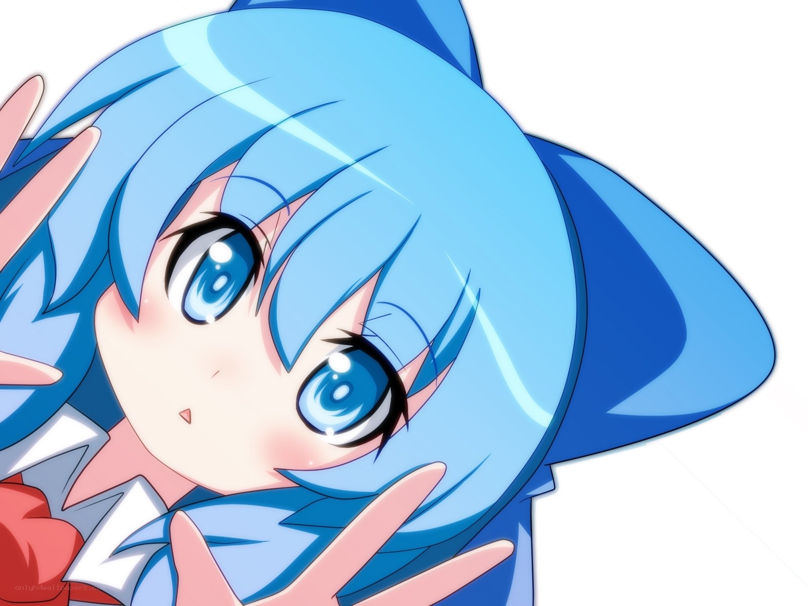 blue-haired anime girl close-up