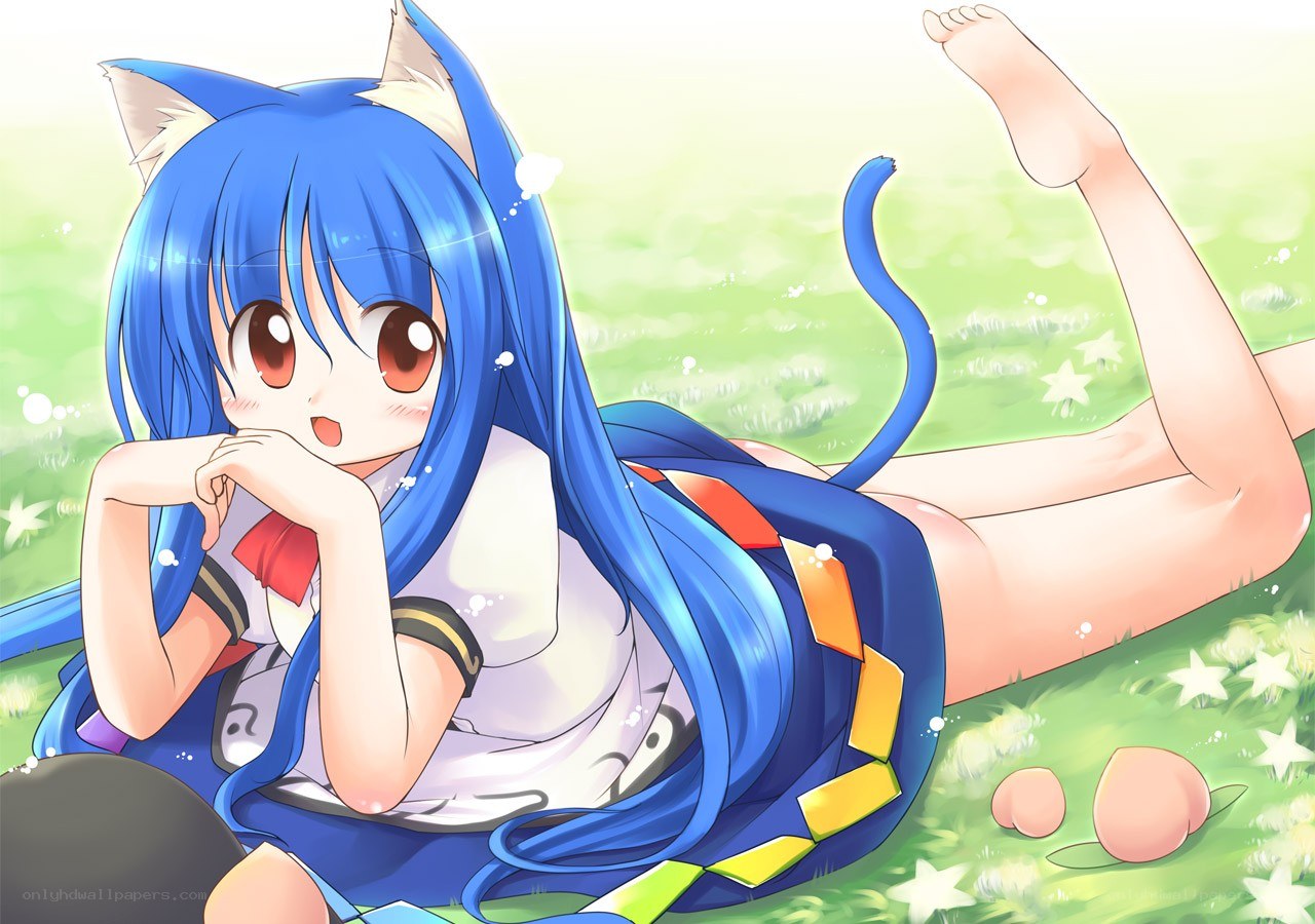 blue-haired cat girl in field