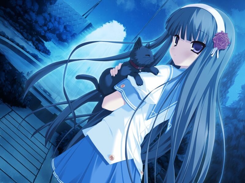 Blue-haired Girl Holding Cat — Blue, Serene, Night