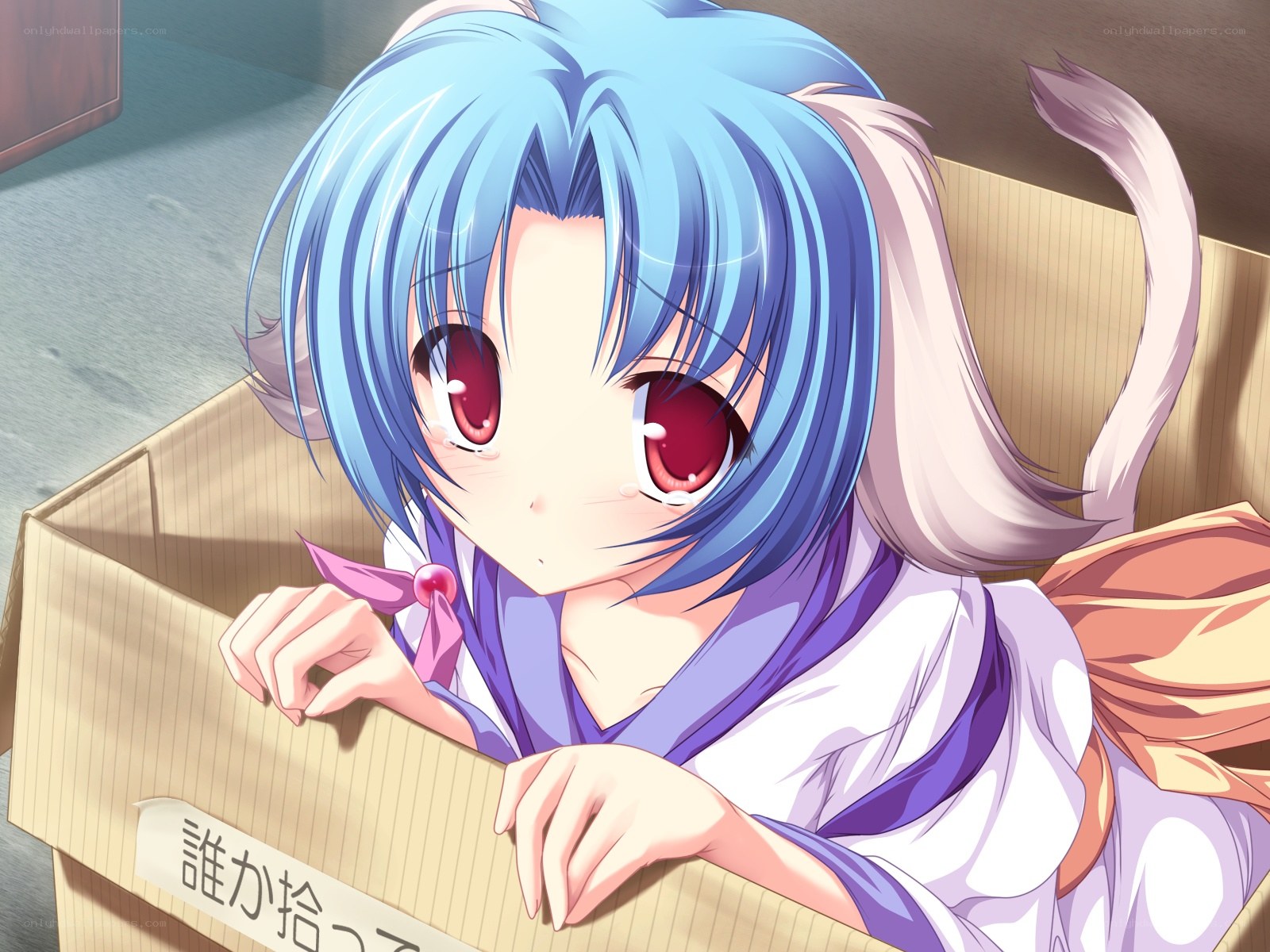blue-haired girl in a box