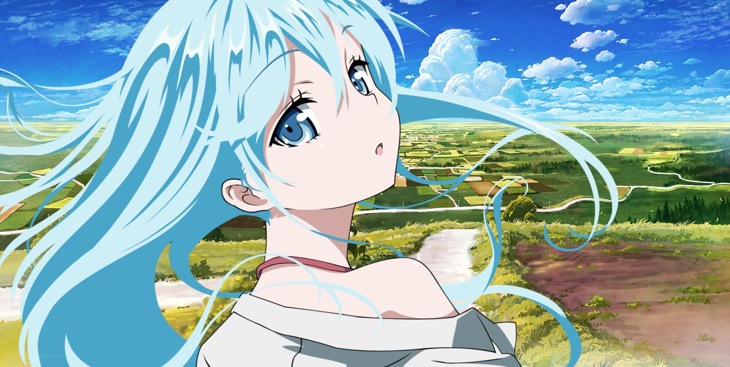 blue-haired girl in a field