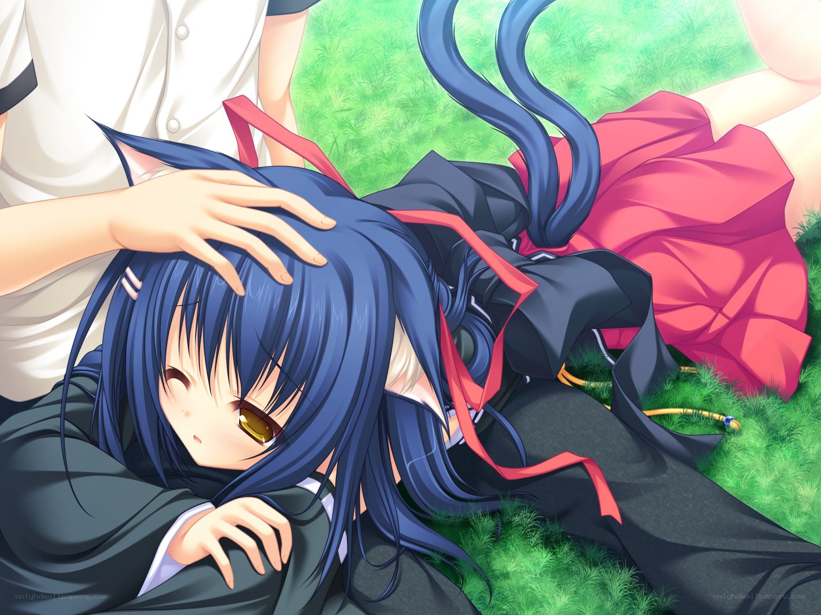 blue-haired girl resting on grass