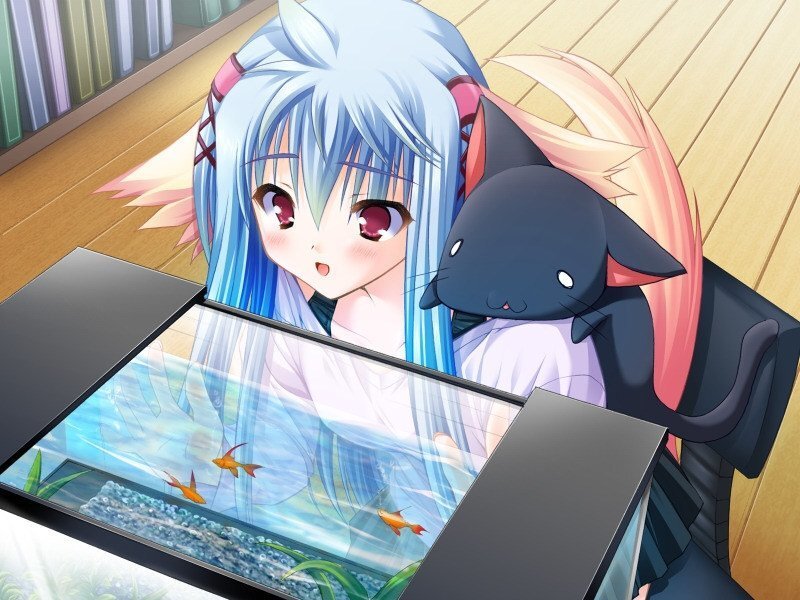 Blue-haired Girl with Cat — Blue, Calm, Anime, Fish Tank