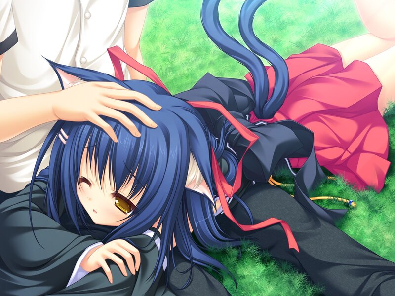 Blue-haired Girl with Cat Ears — Blue, Calm, Afternoon, Anime