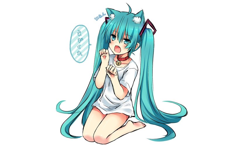 Blue-haired Girl with Cat Ears — Cyan, Playful, Anime, Cat Ears