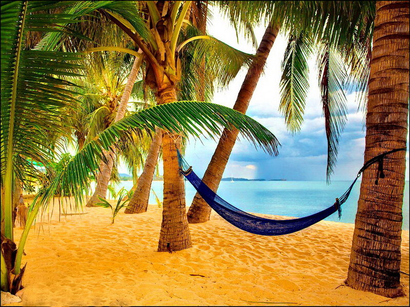 Blue Hammock on Beach — Serene