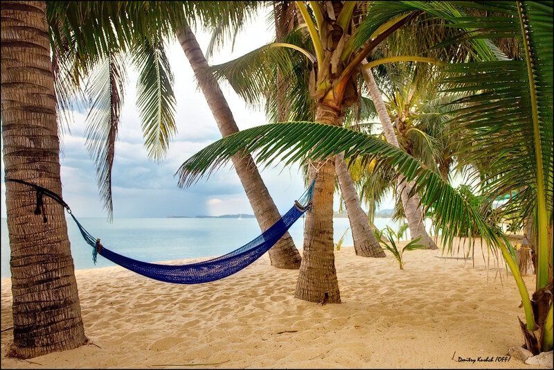 Blue Hammock on Beach