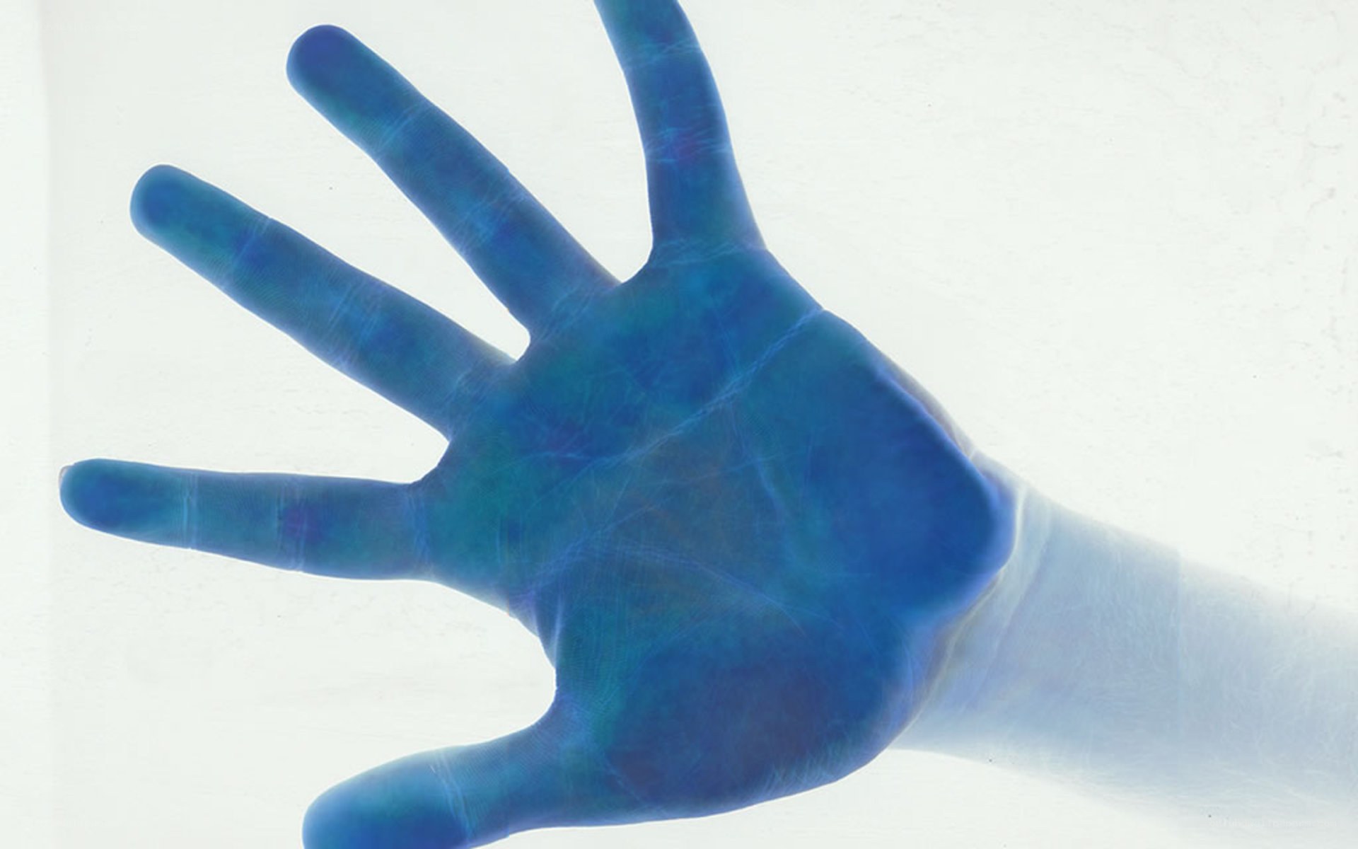 blue hand on white background
